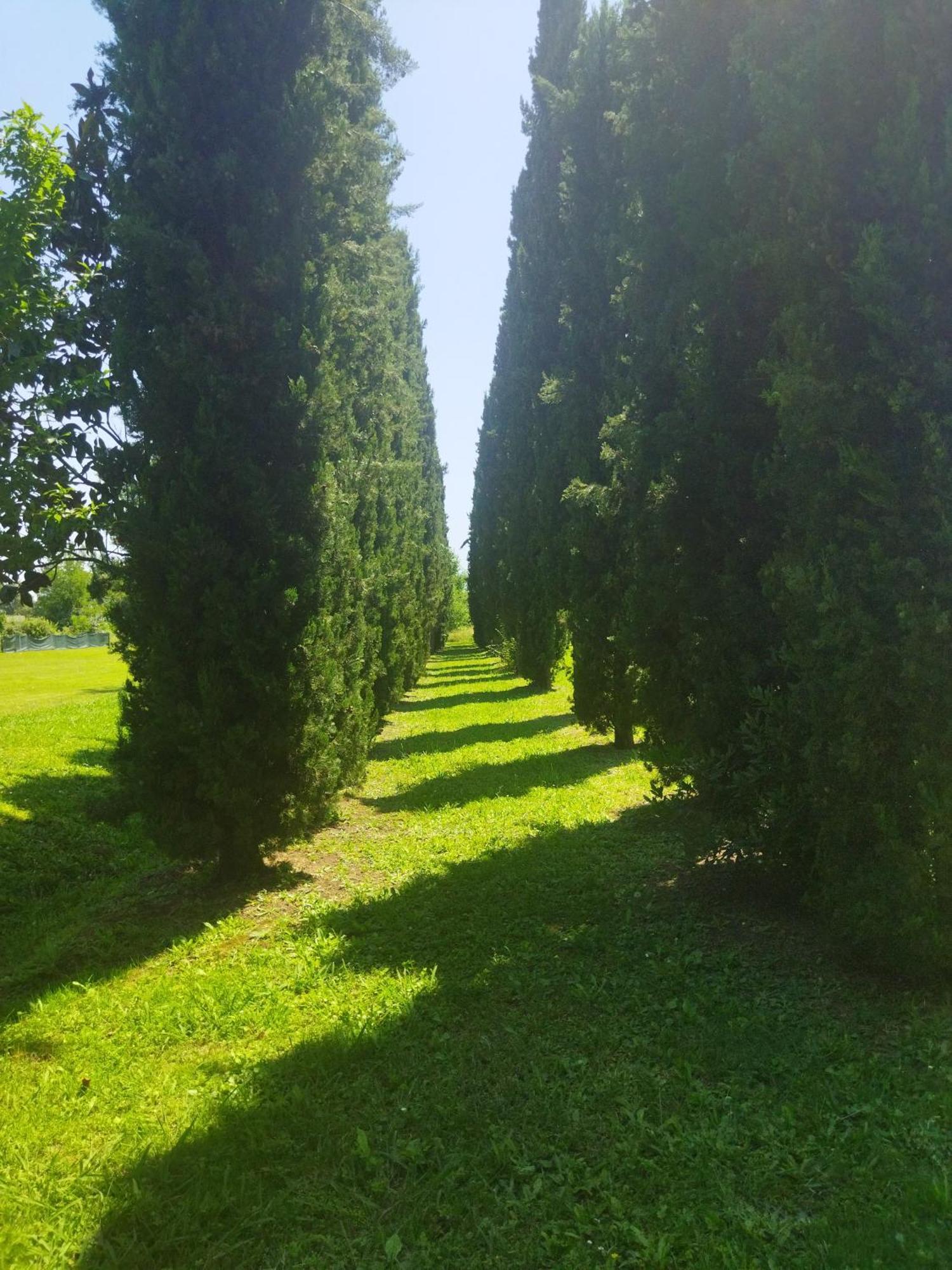 Villa Fontana Capannori Bagian luar foto